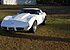 1977 Chevrolet Corvette Coupe for sale 101080838